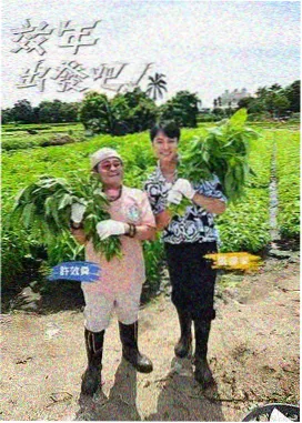花儿与少年 综艺推荐